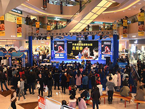 商场客流增加统计分析系统设计方案